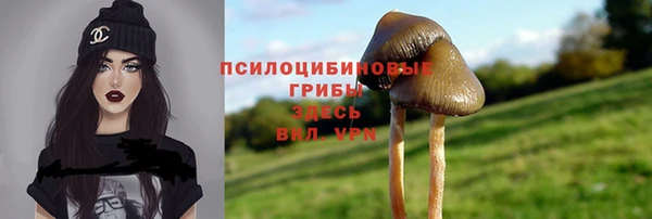 мяу мяу кристалл Бородино